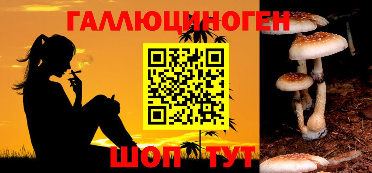 Ханты-Мансийск  Галлюциногенные грибы MAGIC MUSHROOMS  Вход с VPN  Галлюциногенные грибы Cubensis 